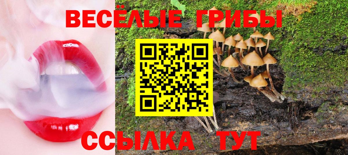 Куйбышев  Галлюциногенные грибы Magic Shrooms  Галлюциногенные грибы GOLDEN TEACHER  Вход с VPN 